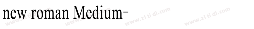 new roman Medium字体转换